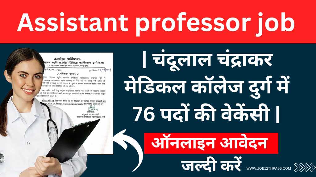 Assistant professor job