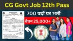 CG Govt Job 12th Pass