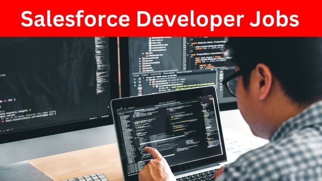 Salesforce Developer Jobs