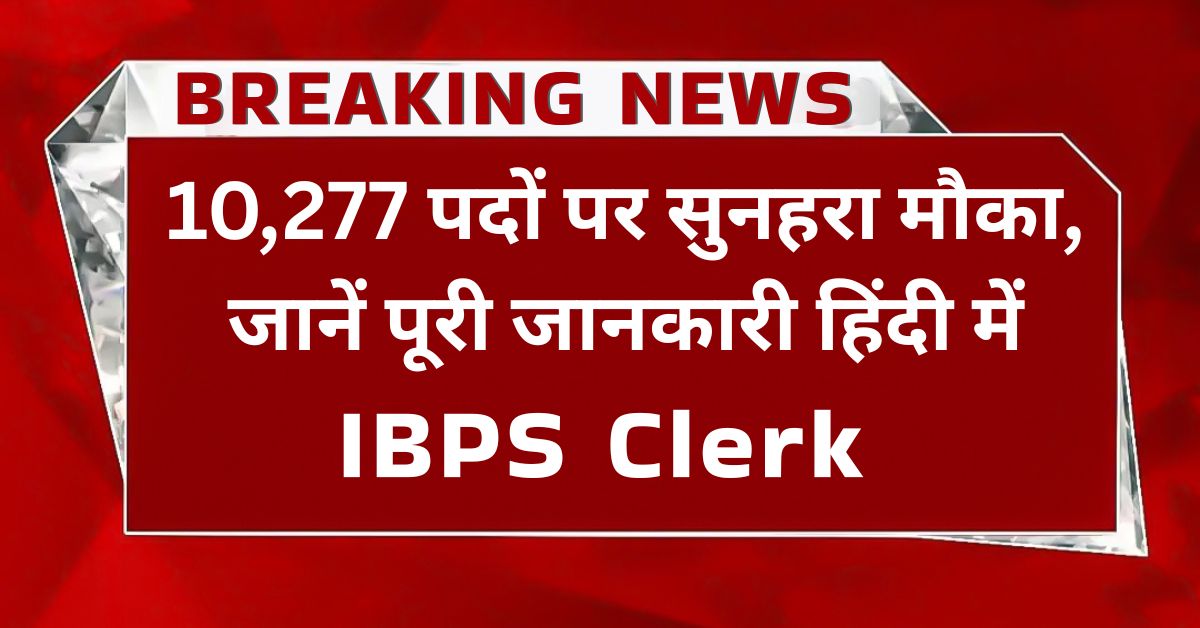 IBPS Clerk application form Apply Online 2025